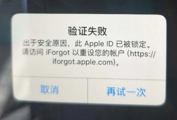 市中iPhone维修分享iPhone上正常登录或使用AppleID怎么办 