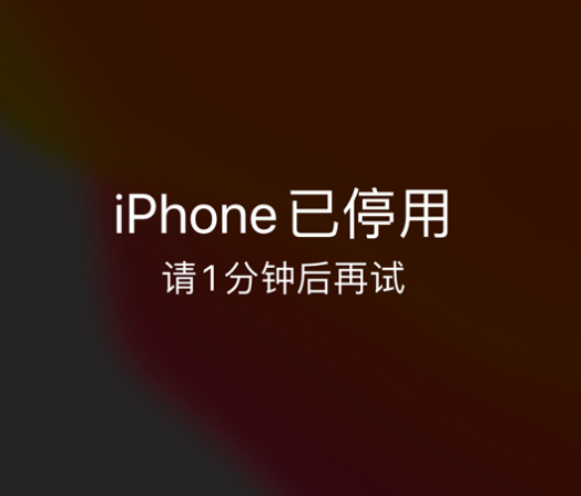 市中苹果手机维修分享:iPhone 显示“不可用”或“已停用”怎么办？还能保留数据吗？ 