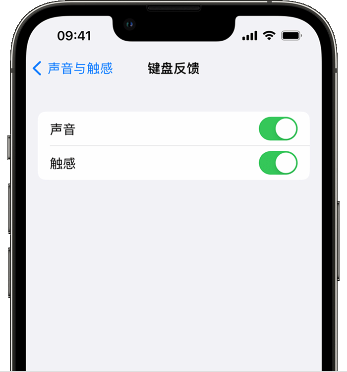 市中苹果14维修店分享如何在 iPhone 14 机型中使用触感键盘 